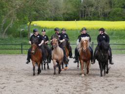 generisk_titel_en_bestemt_opvisning_4_20201222_2057639873